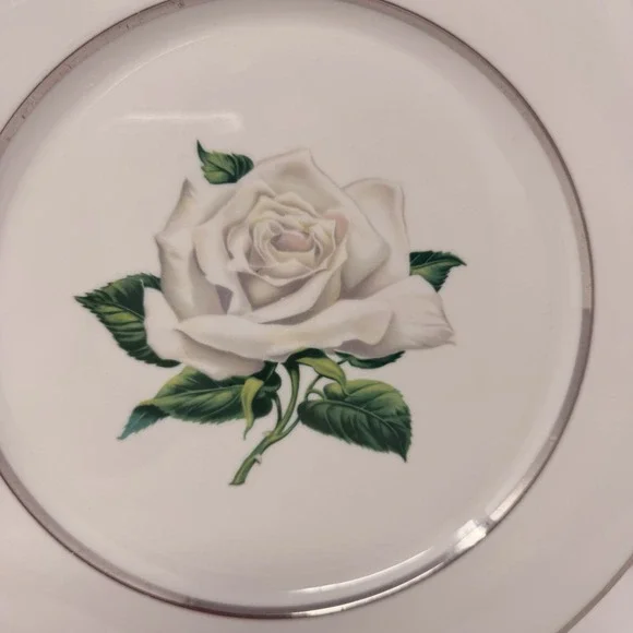 Set of 2 Embassy Vitrified White Rose - Dinner Plate - 10 1/8" Diameter - Picture 6 of 11